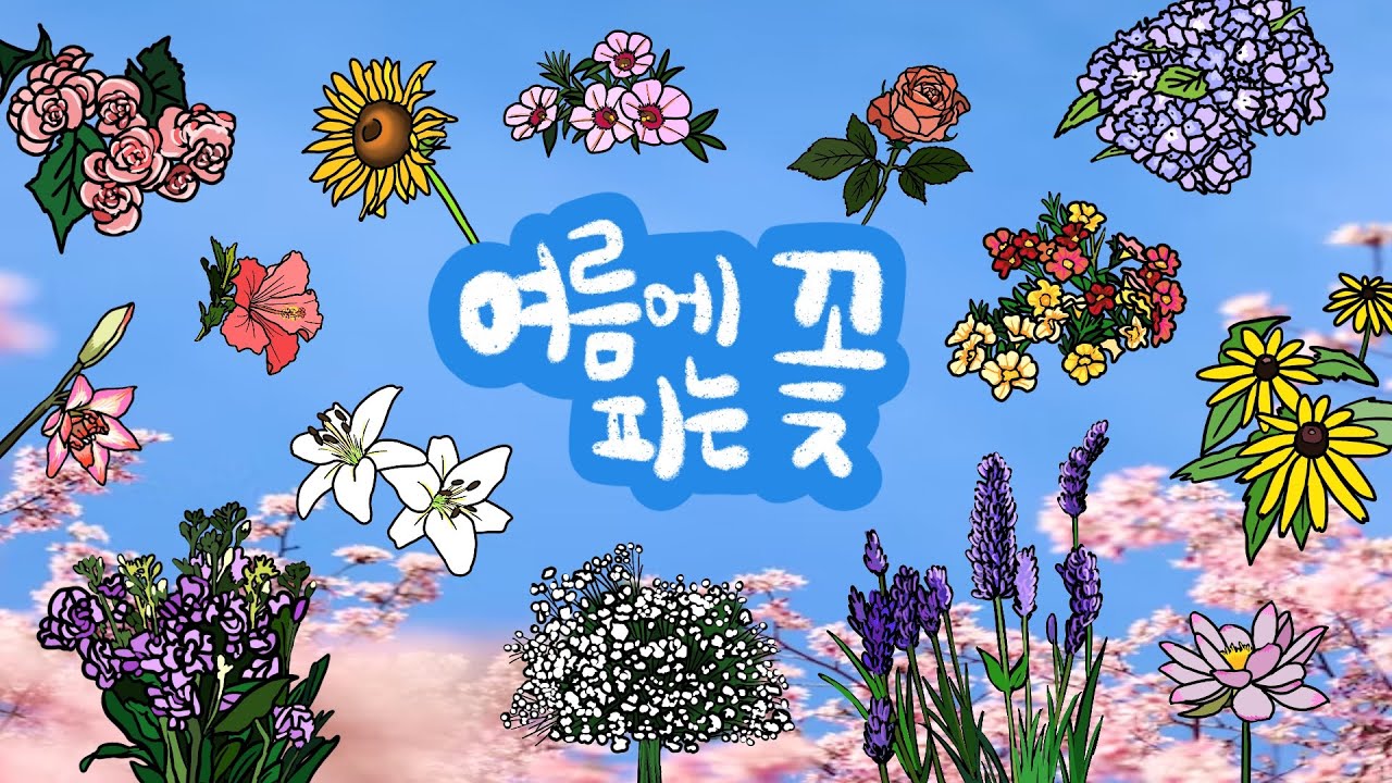 여름꽃 | 여름에는 어떤 꽃이 필까? | 무더운 여름에 피어나는 꽃들을 알아보아요 | 싱그러운 여름꽃놀이 | 키즈드로우