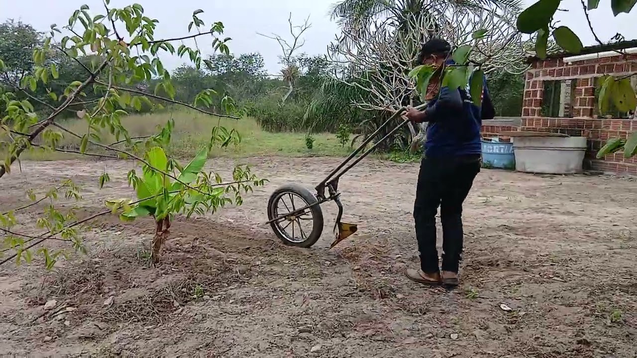  Marido fez Ferramenta pra facilitar aqui no sítio 