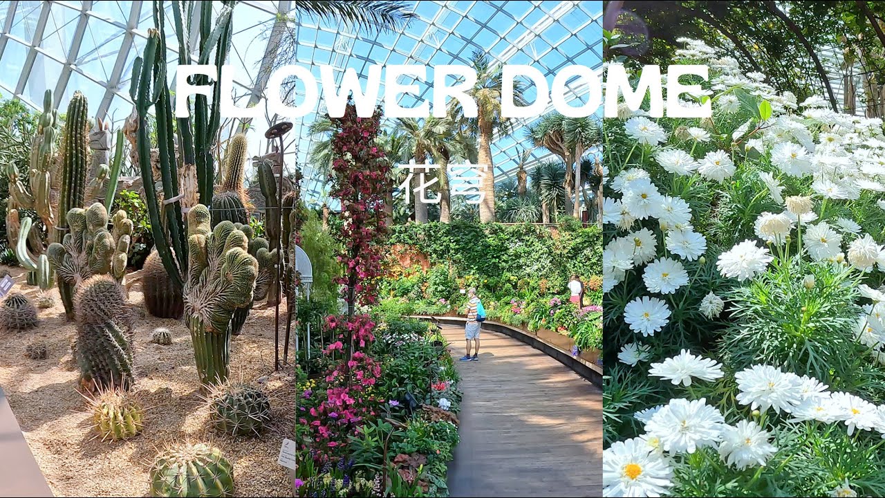 Flower Dome - Gardens By The Bay [Singapore] Travel Guide 2023 [4K] 花穹新加坡 旅游景點