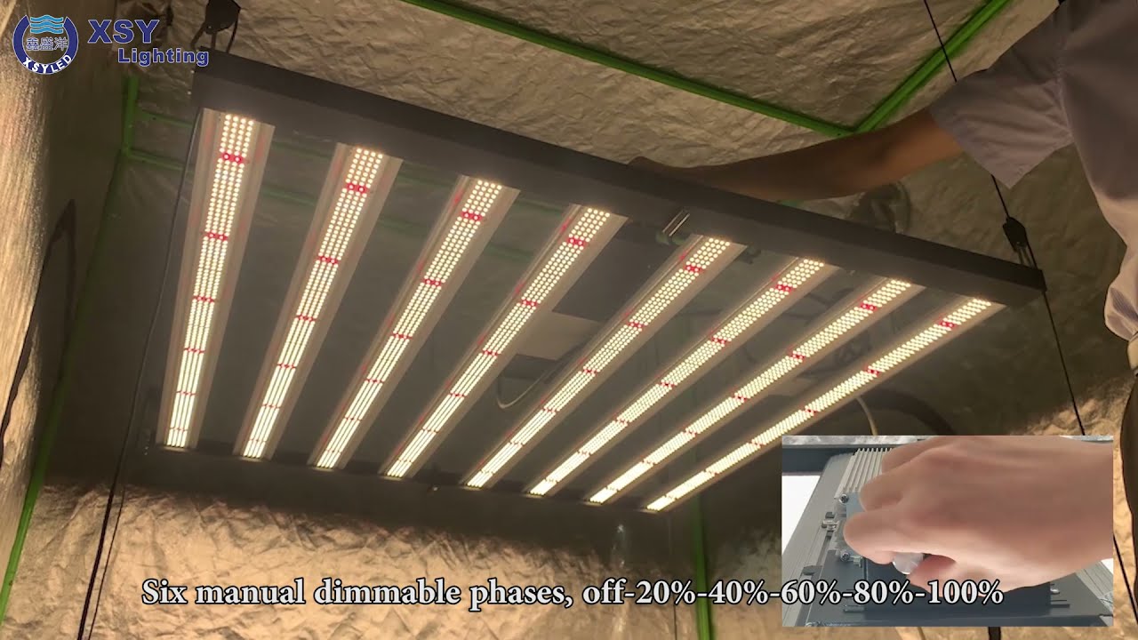 720W LED grow light 2.8umol/j  2000umol/s for indoor cannabis