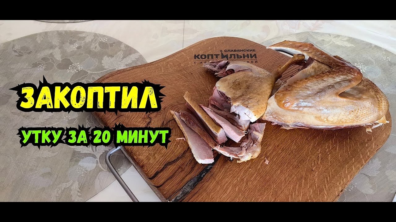 Утка Холодного КОПЧЕНИЯ! Закоптил за 20 минут! Электростатическая коптильня!