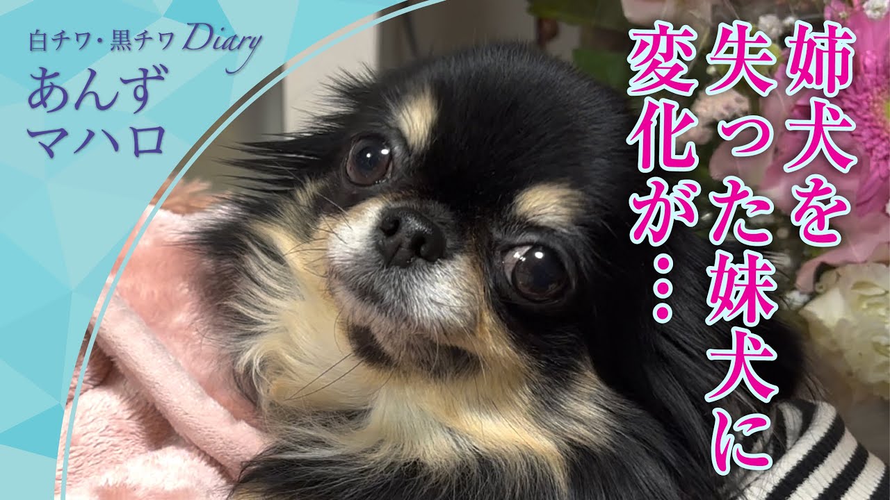 【報告とご挨拶】どれほど我慢を強いていたのか