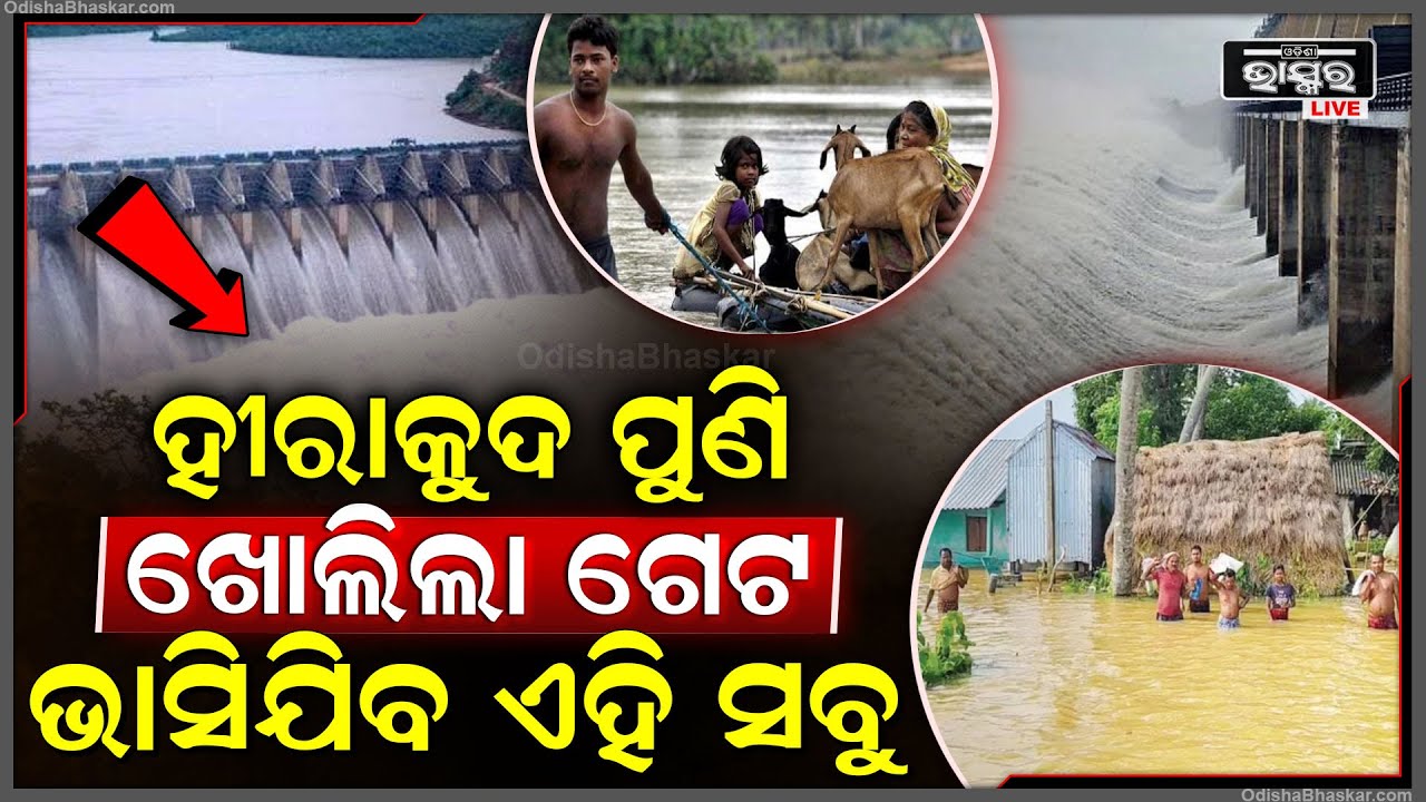 ହୀରାକୁଦ ପୁଣି ଖୋଲିଲା ଗେଟ...ଫୁଲୁଛି ମହାନଦୀ, ଭାସିଯିବ ଏହି ସବୁ...
