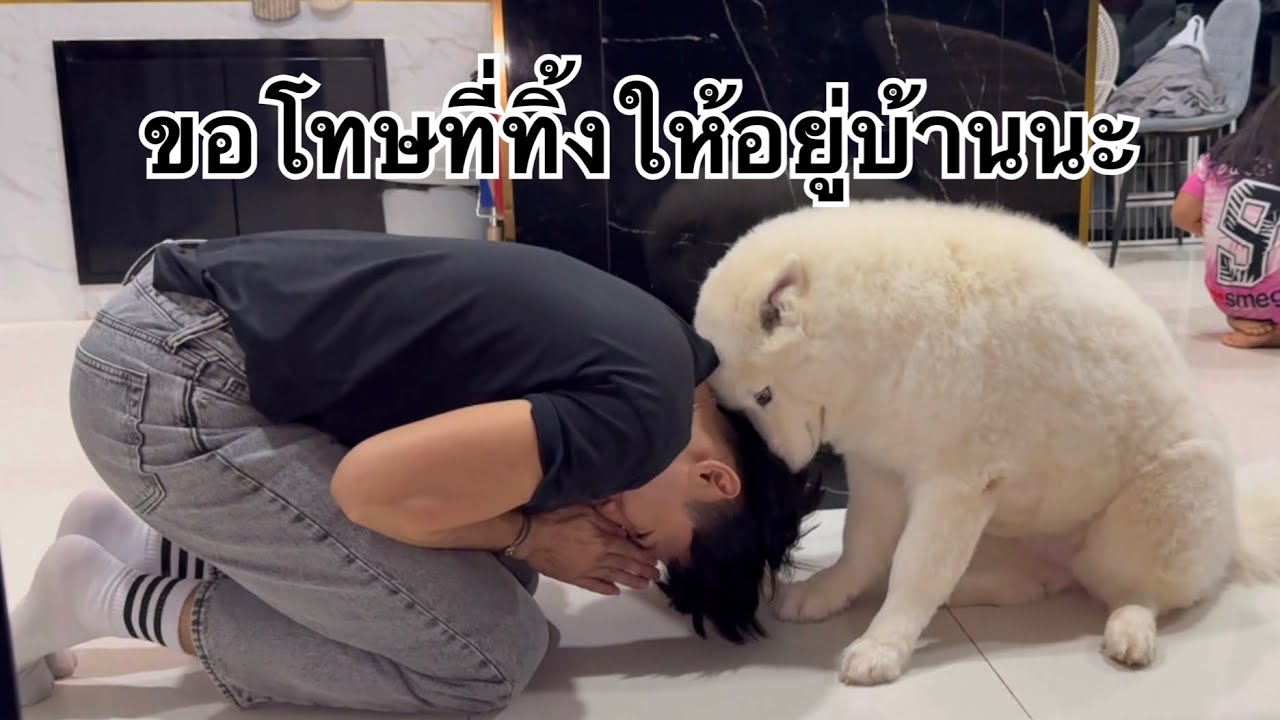 ผมไปต่างประเทศ10วันและเค้ารอผมกลับบ้านทุกวันเลย