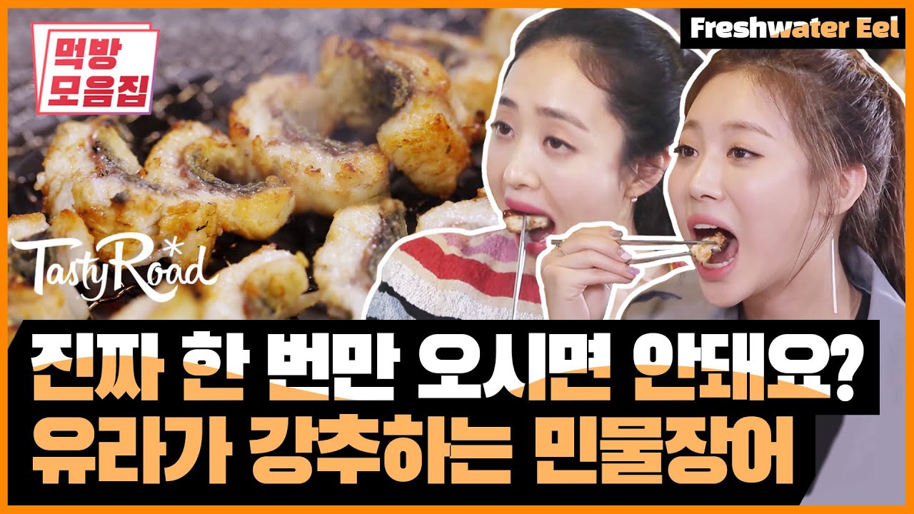 진짜 한 번만 오시면 안돼요? 유라가 극추천한 민물장어 맛집! | [다시보는 테이스티로드   먹방모음집] Freshwater Eel