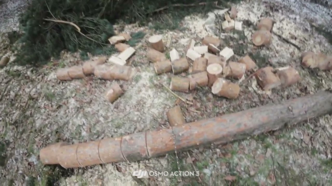 #2 STIHL MS 462C IN ACTION 