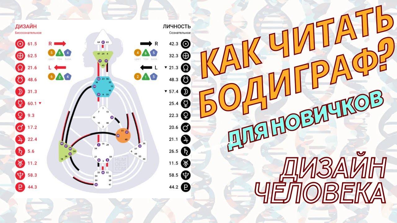 Дизайн человека. Как читать бодиграф (видео для новичков)