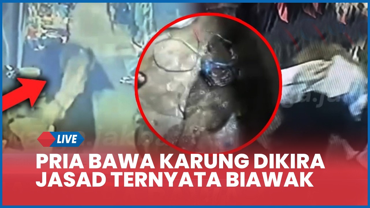Heboh Rekaman CCTV Pria Bawa Karung Dikira Jasad Ternyata Biawak di Jakbar, Sampai Didatangi Polisi