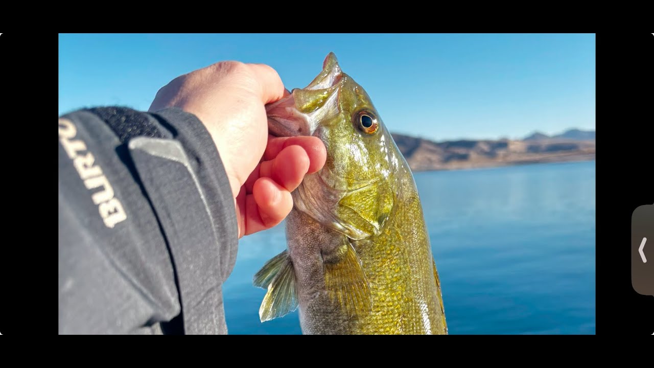 Winter Kayak Bass Fishing: Lake Mead