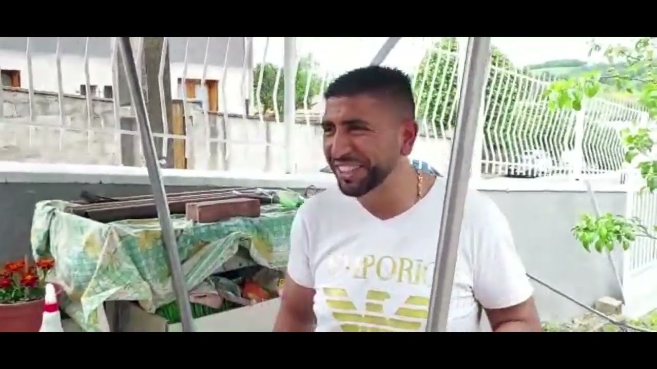 ko aslano  studiofrancerom   djemail2022  shej enver