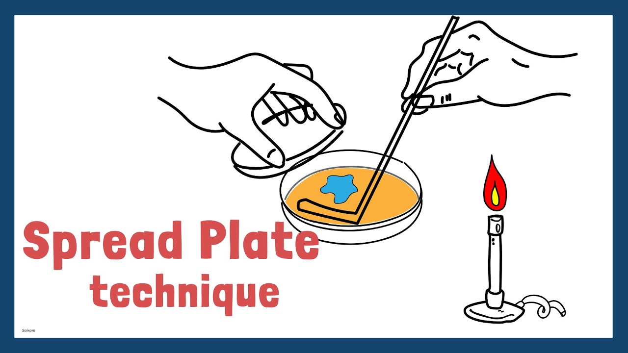 Как использовать технику Spread Plate