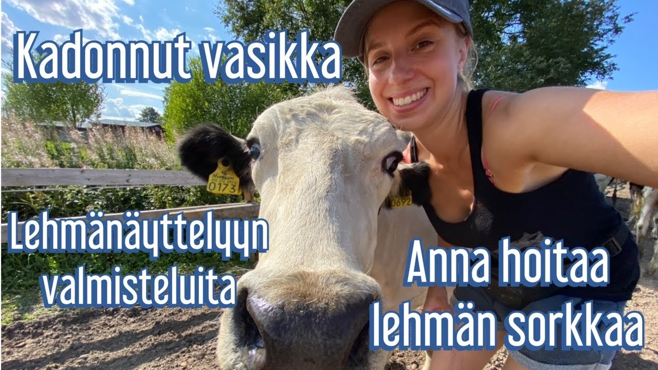 Keisalan tilan uutiset 9 + pyörärata spesiaali