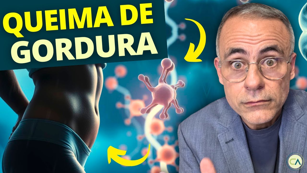 Melhores Suplementos para PERDER GORDURA