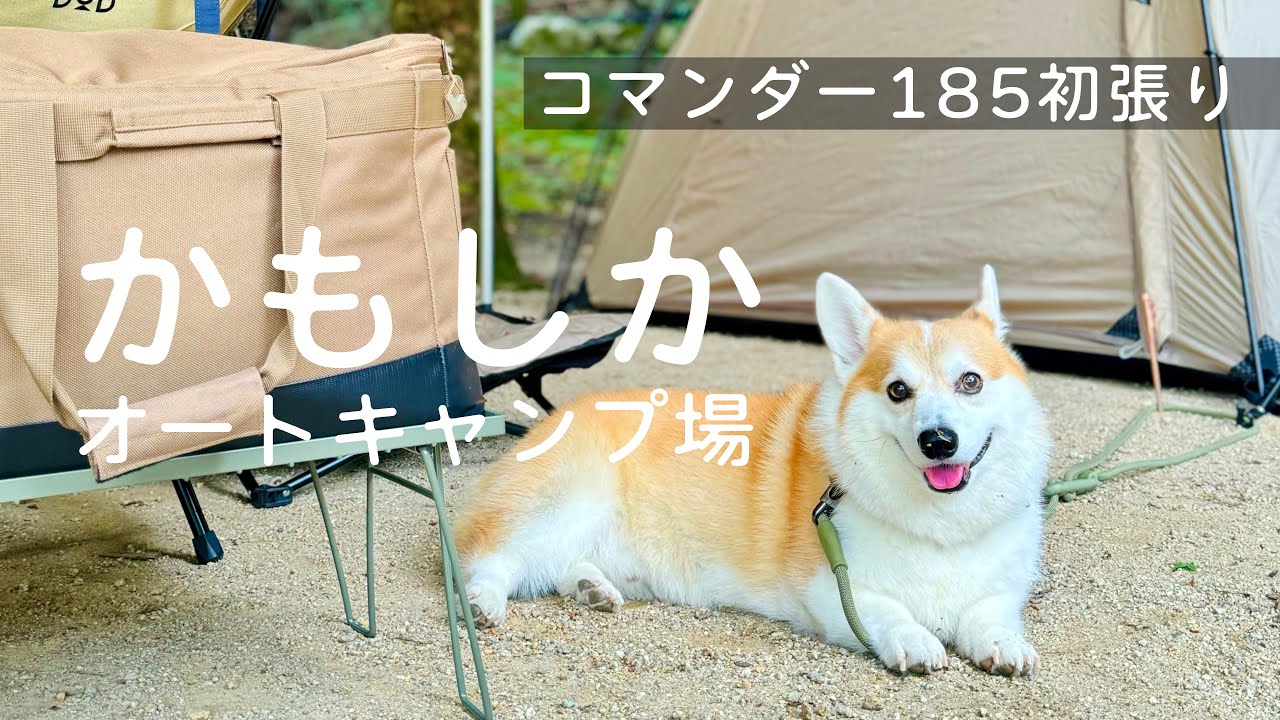 【犬とキャンプ】秋の入り口かもしかオートキャンプ場（滋賀）
