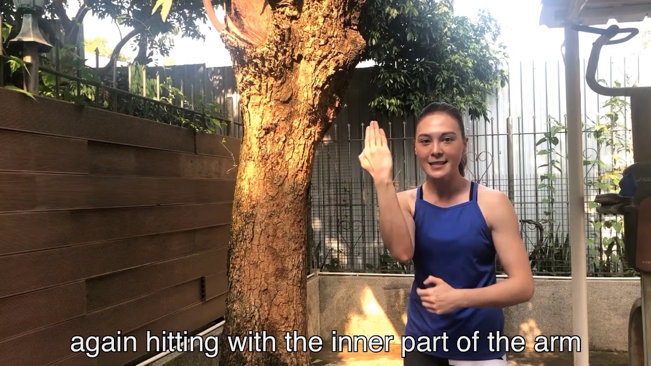 洪拳基本功 - 打三星 Hung Gar training- Da Saam Sing