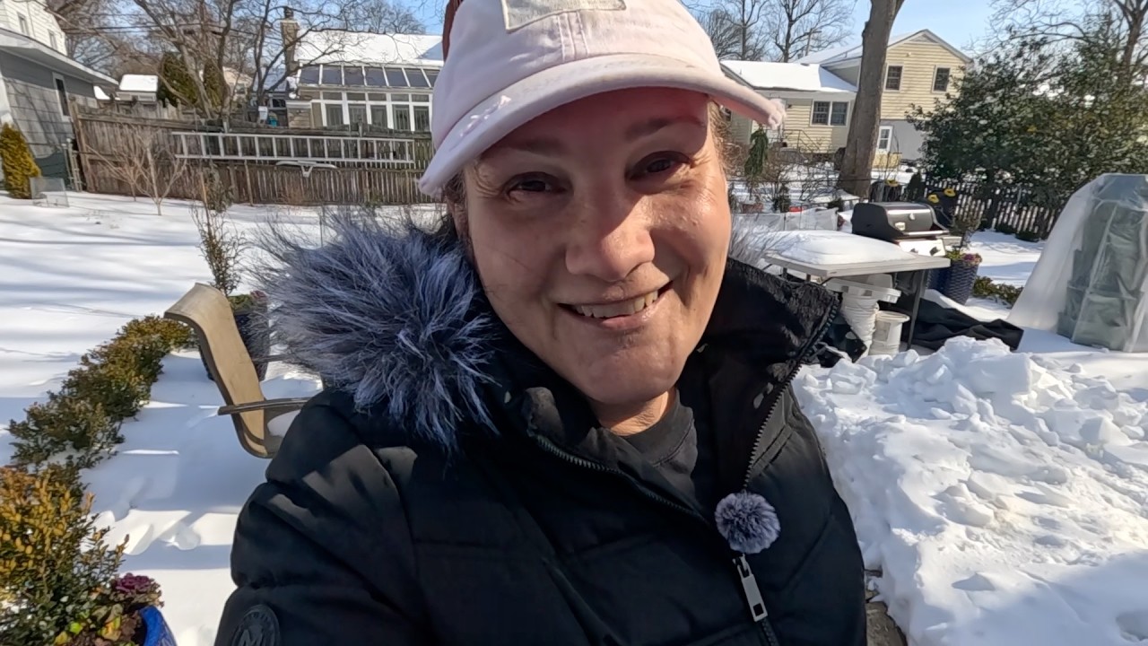 Treating A Plant For Spider Mites and Post Snow Mini Walkabout // Dirt and Dish