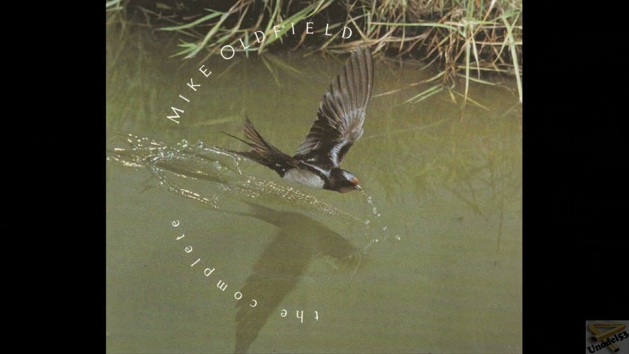 Mike Oldfield- In The Pool (1984, Masterizada 2015)