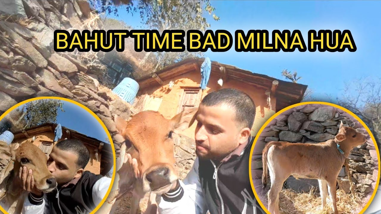 बहुत दिनों बाद चिपसू से मिलना हुआ ||Uttarakhand lifestyle vlog || Kunal k vlog 
