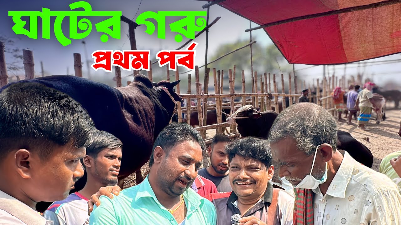 আরিচা ঘাট মাতালেন আকরাম ভাই! 🔥 | Aricha Ghat Cow Market 17 February 2026 | Part 1