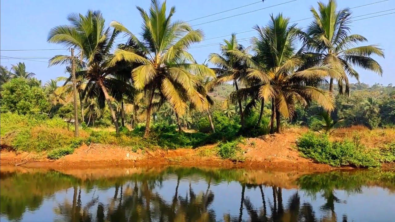 Англичанин в английском пабе. 10 км пляж от Арамболя до Морджима.  Обезьяны.  Гоа. Индия. 2022