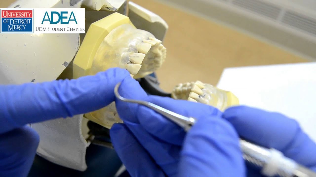 Pre-clinical Periodontal Instrumentation: H6/7