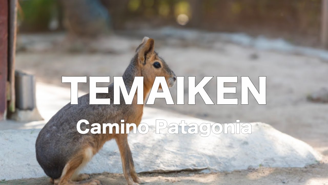 Temaiken | Camino Patagonia | Escobar | Buenos Aires | 2021