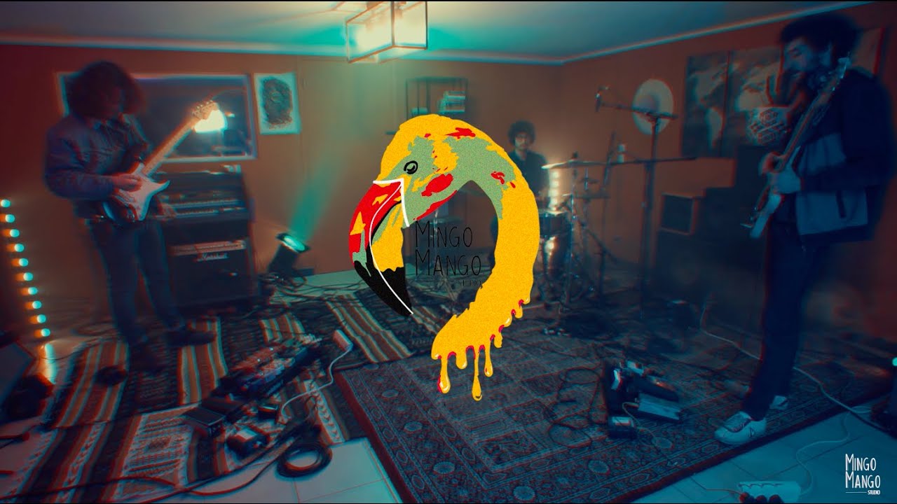 Yolamif - Happy Trans (Live) ⎜ Mingo Mango Sessions