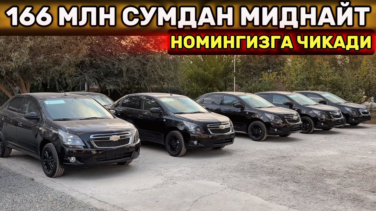 1 СОАТ ИЧИДА НОМИНГИЗГА АВТО САЛОНДАН КОБАЛЬТЛАР🔥 ЭНДИ КУТИБ ОТИРИШ ШАРТ ЭМАС. COBALT MIDNAGT 
