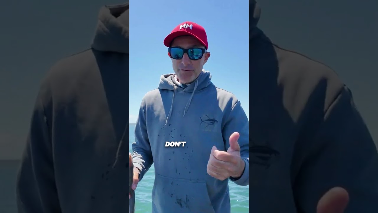 Let's Fish SA: 70% Of The Coastline is Clear
