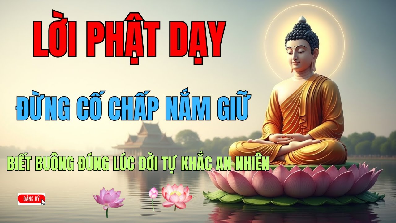Lời Phật Dạy: Ai Đang Khổ Vì Nặng Lòng, Hãy Nghe 1 Lần Để Buông Bỏ Mọi Phiền Não