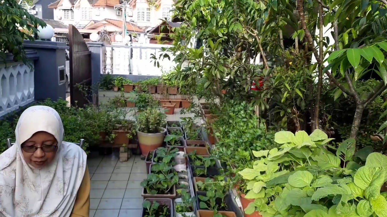 KEBUN BANDAR - PAGI YANG HAPPENING !!!