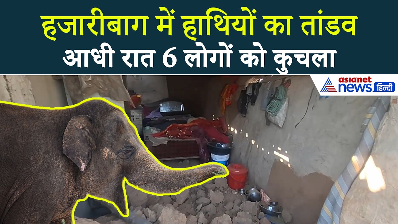 Hazaribagh में सो रहे परिवारों पर टूटा हाथियों का कहर, एक ही परिवार के 4 लोगों समेत 6 की मौत