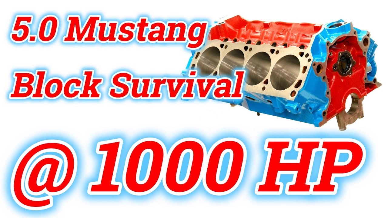 302/351 Ford OE blocks - how to make them live even at 1000 hp