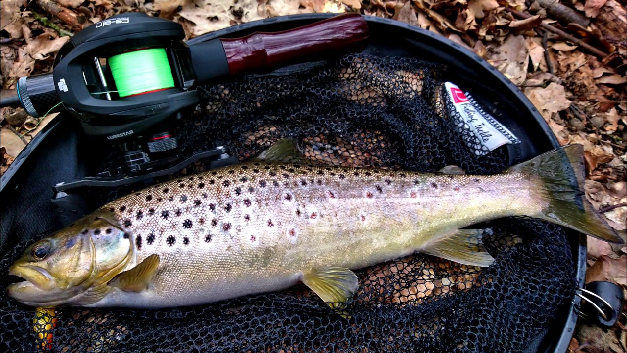 Casting UL na Pstrągach | BFS cheap combo review on wild trout from a small river