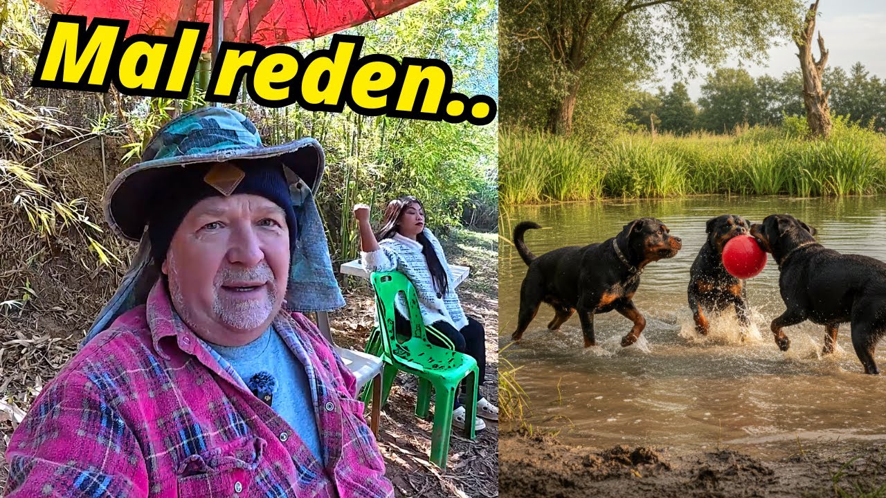Winter in Thailand, Hunde & ehrliche Updates. Kein Kochstudio heute