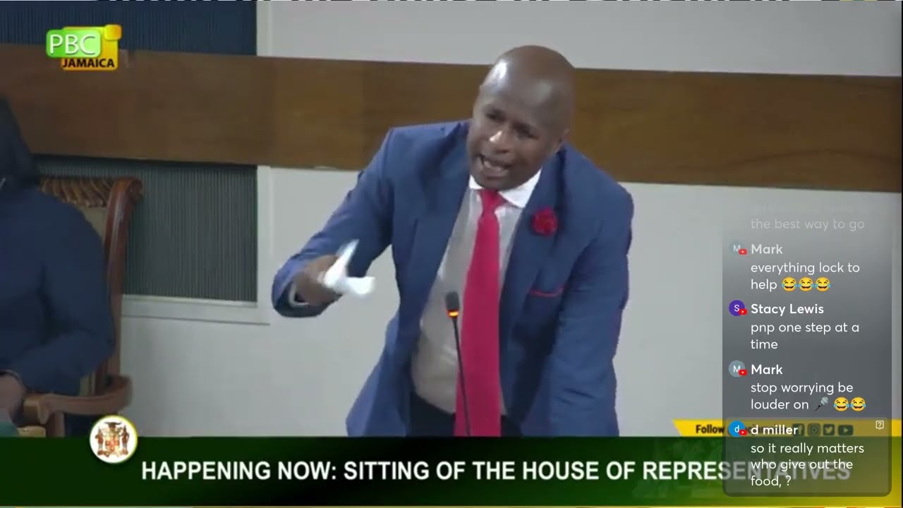 PNP MP questioned PM Andrew Holness Sitting of the House of Representatives
