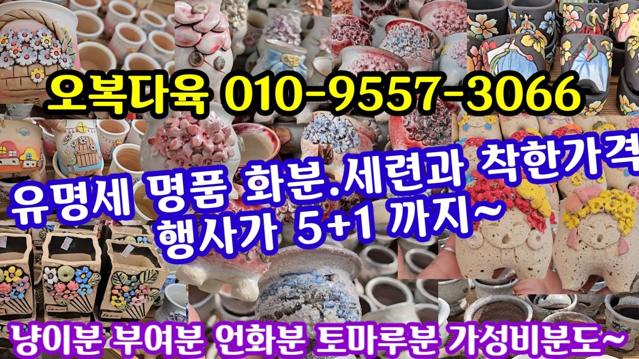 다육이 화분 쇼핑 🛍 (25.4.10)오복다육 010-9557-3066 인기품종 명품 화분에 멋과 기능 가격도 착하면?🌸바로 찜!!!👌