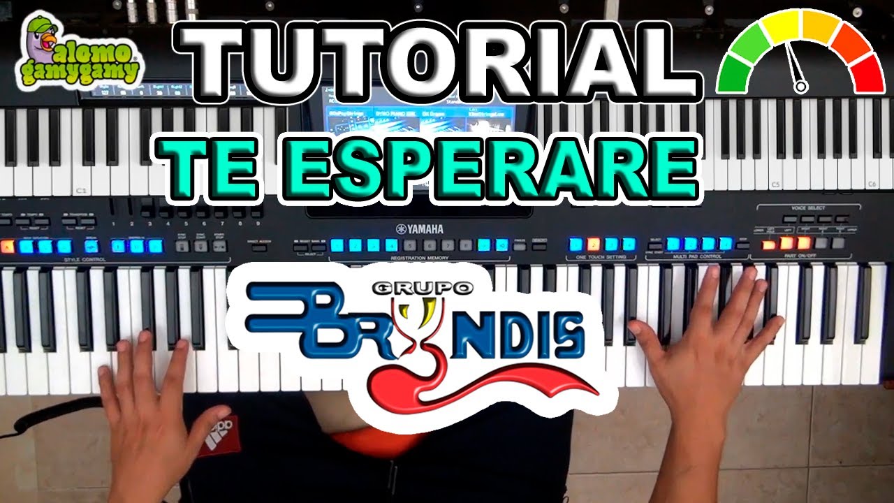 Te Esperaré : Bryndis / Tutorial Figuras Y Acordes