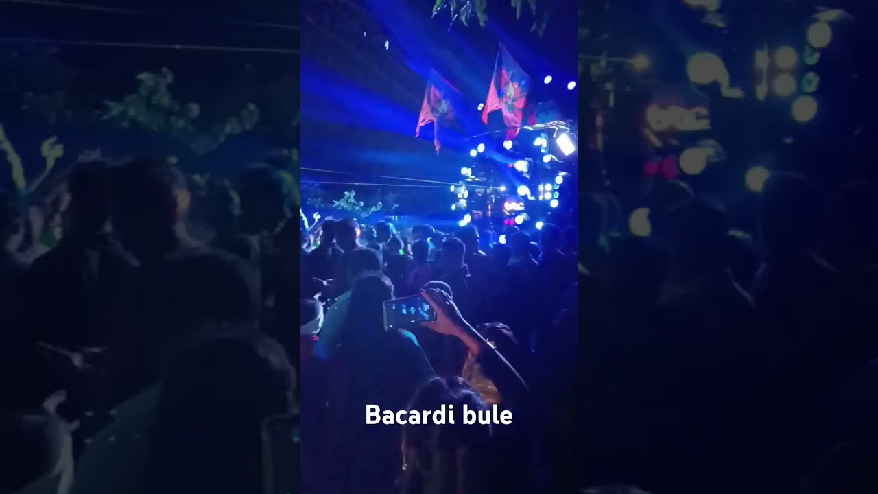 Bacardi bule#vibbratore 🔊🔊