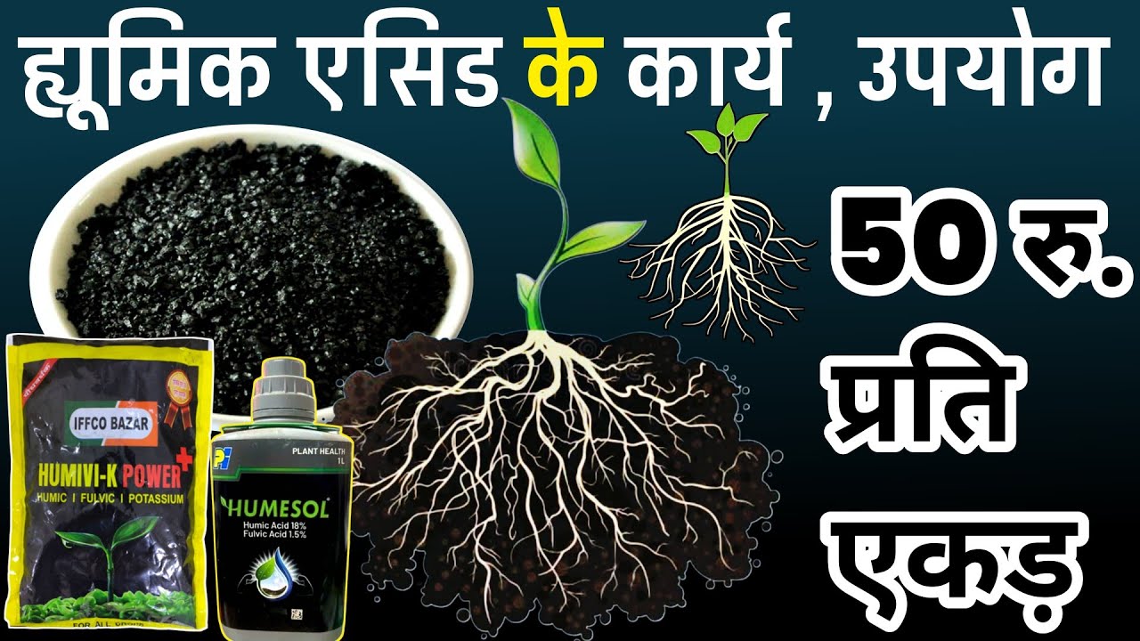 Humic Acid 98%🌱Potassium Humate | ह्यूमिक एसिड के फायदे🌾best humic acid brand