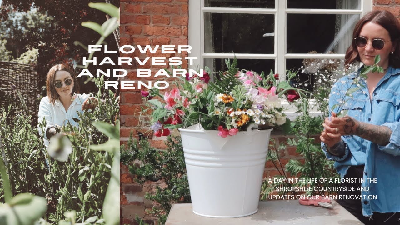 Flower harvest and barn renovation updates | Life in the countryside