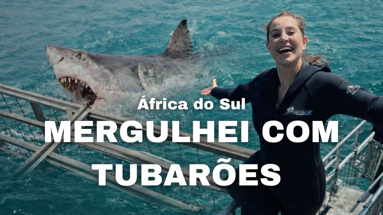 &Aacute;FRICA DO SUL | MERGULHO COM TUBAR&Otilde;ES, CAMINHANDO COM LE&Otilde;ES E INTERA&Ccedil;&Atilde;O COM ANIMAIS