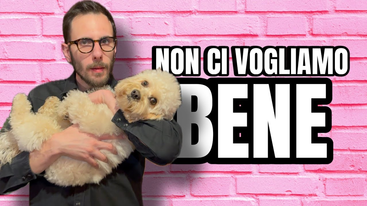 Il meglio delle avventure di Chico - CHICOLLECTION 8