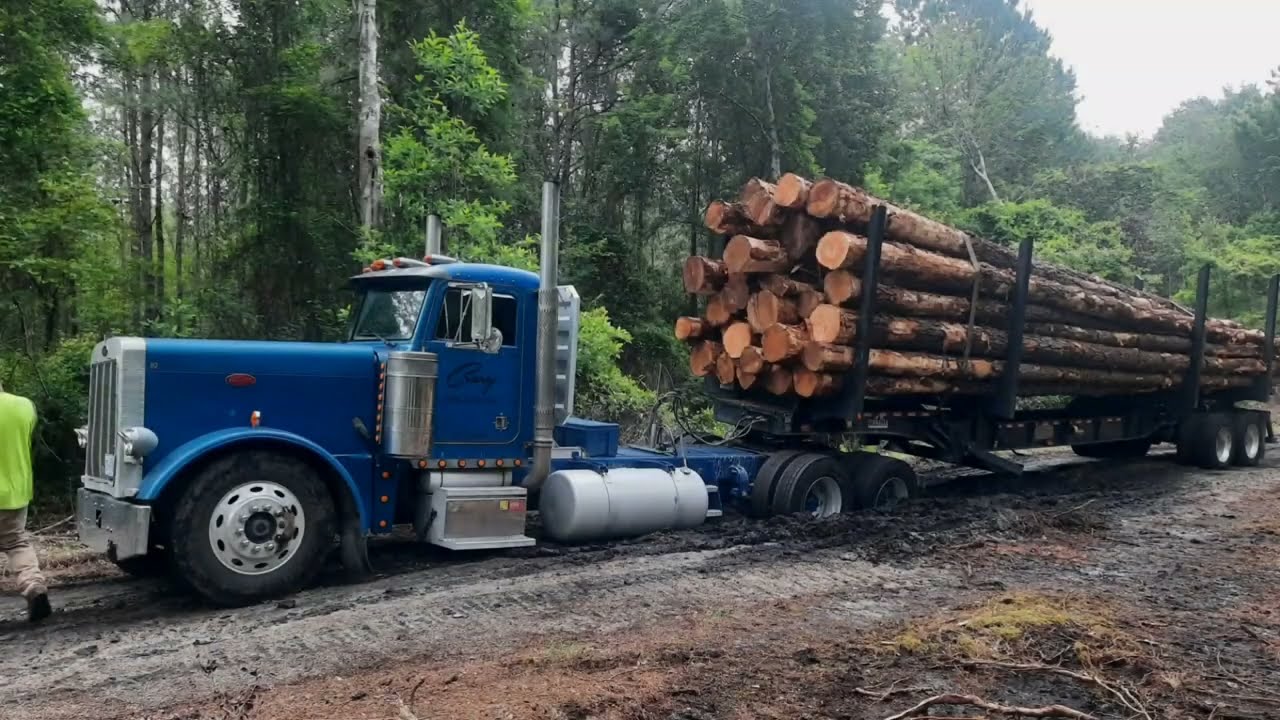 Heavy Equipment Logging Operation