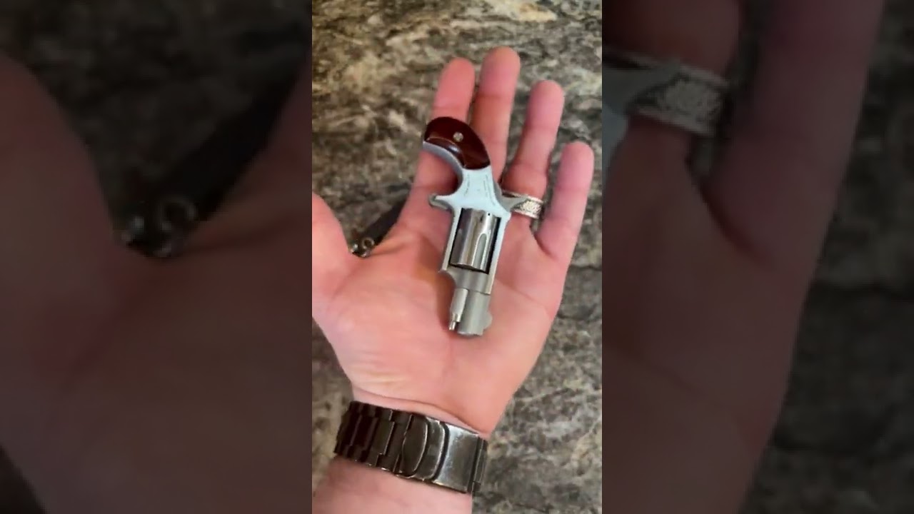 North American Arms Mini-Mag in 22LR, an overview and assessment by KINGOFTHEDAD101  🇺🇸🔥