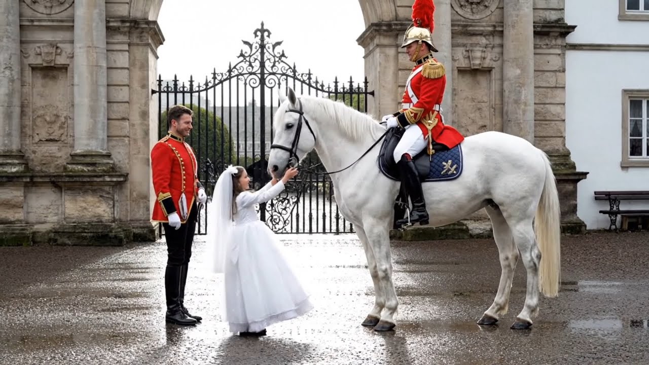 Unforgettable Moments of Respect Between Horses and People ✅