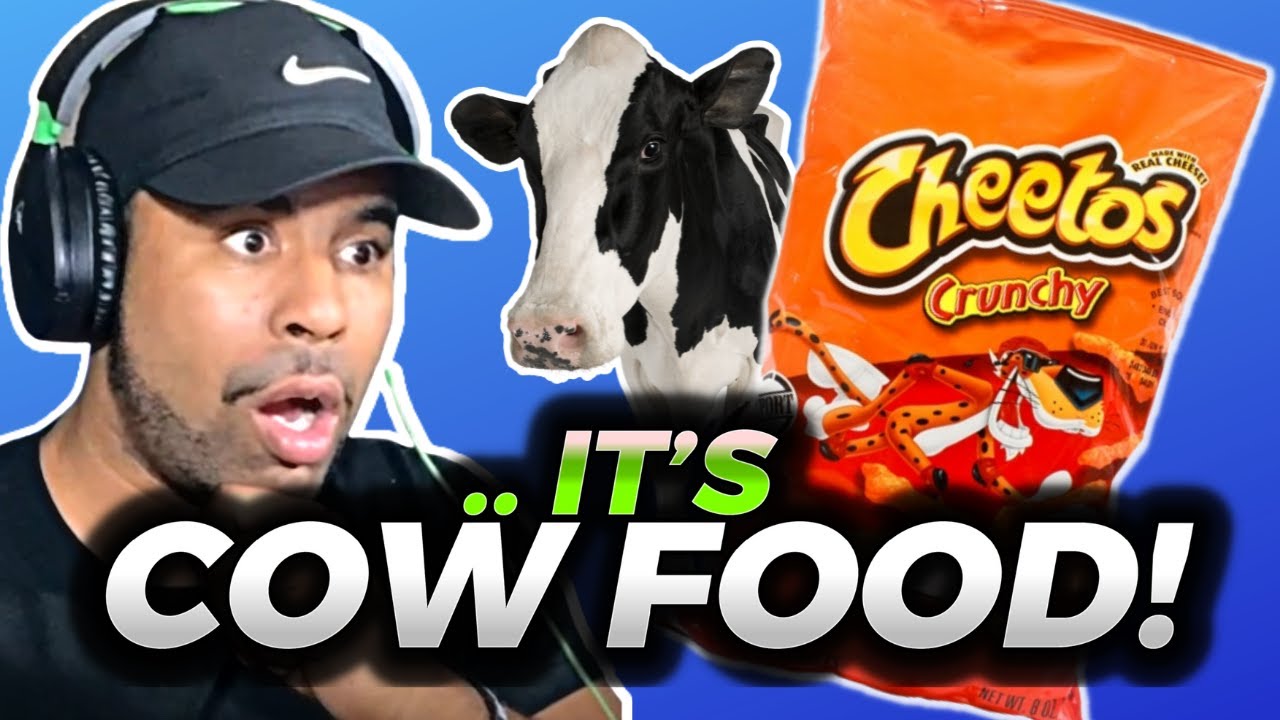 CHEETOS Are Cow Food! - Food Theory - Reaction!