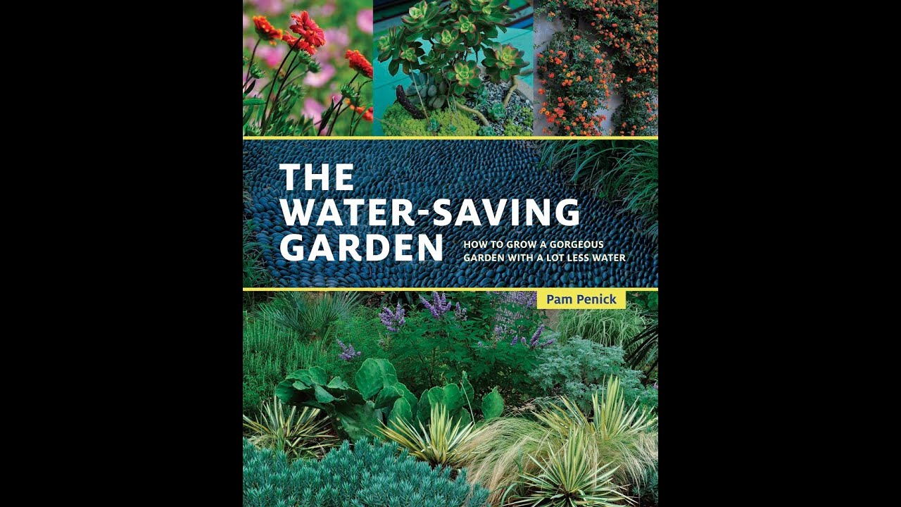The Water-Saving Garden |Pam Penick |Central Texas Gardener