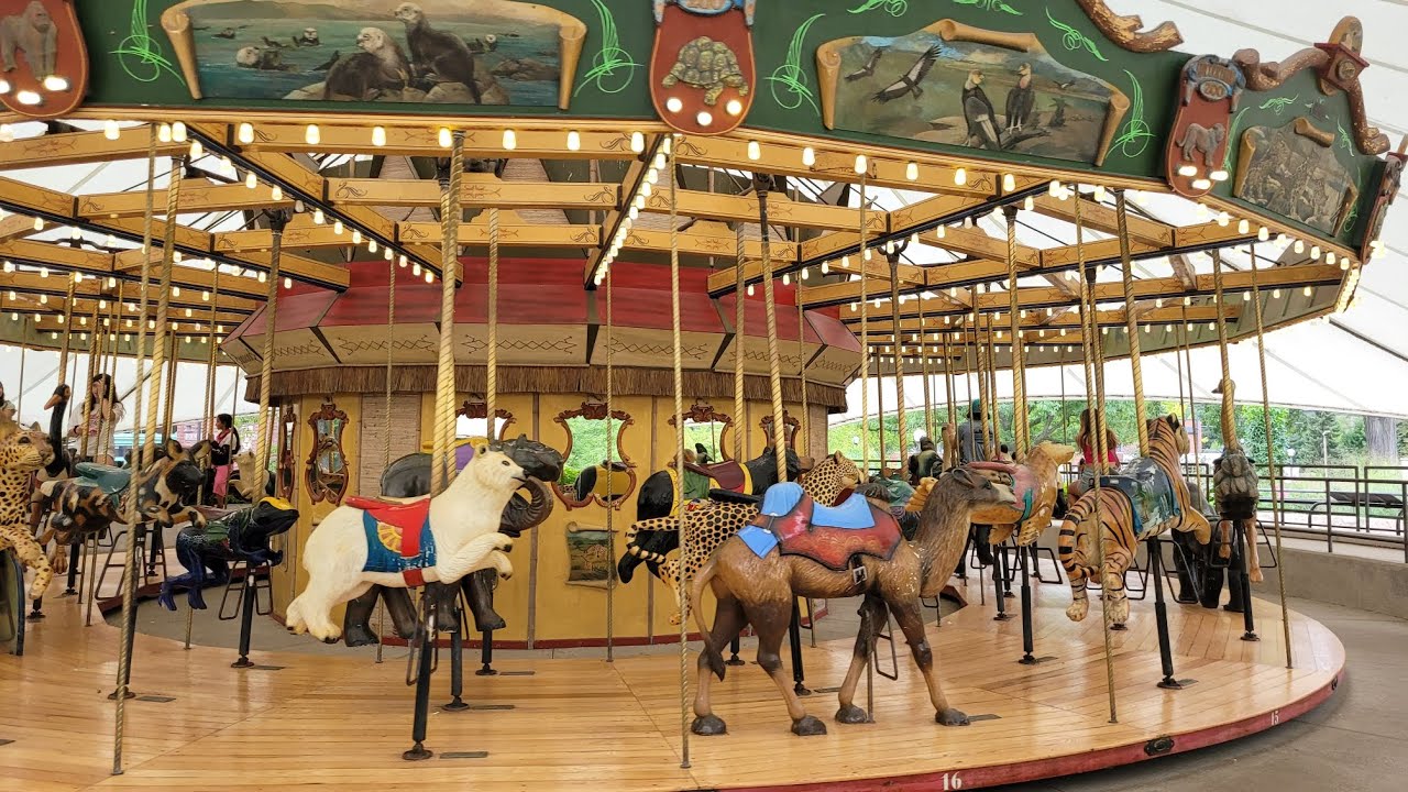 Lincoln Park Zoo Carousel 🎠 #lincolnparkzoo #chicago #illinois