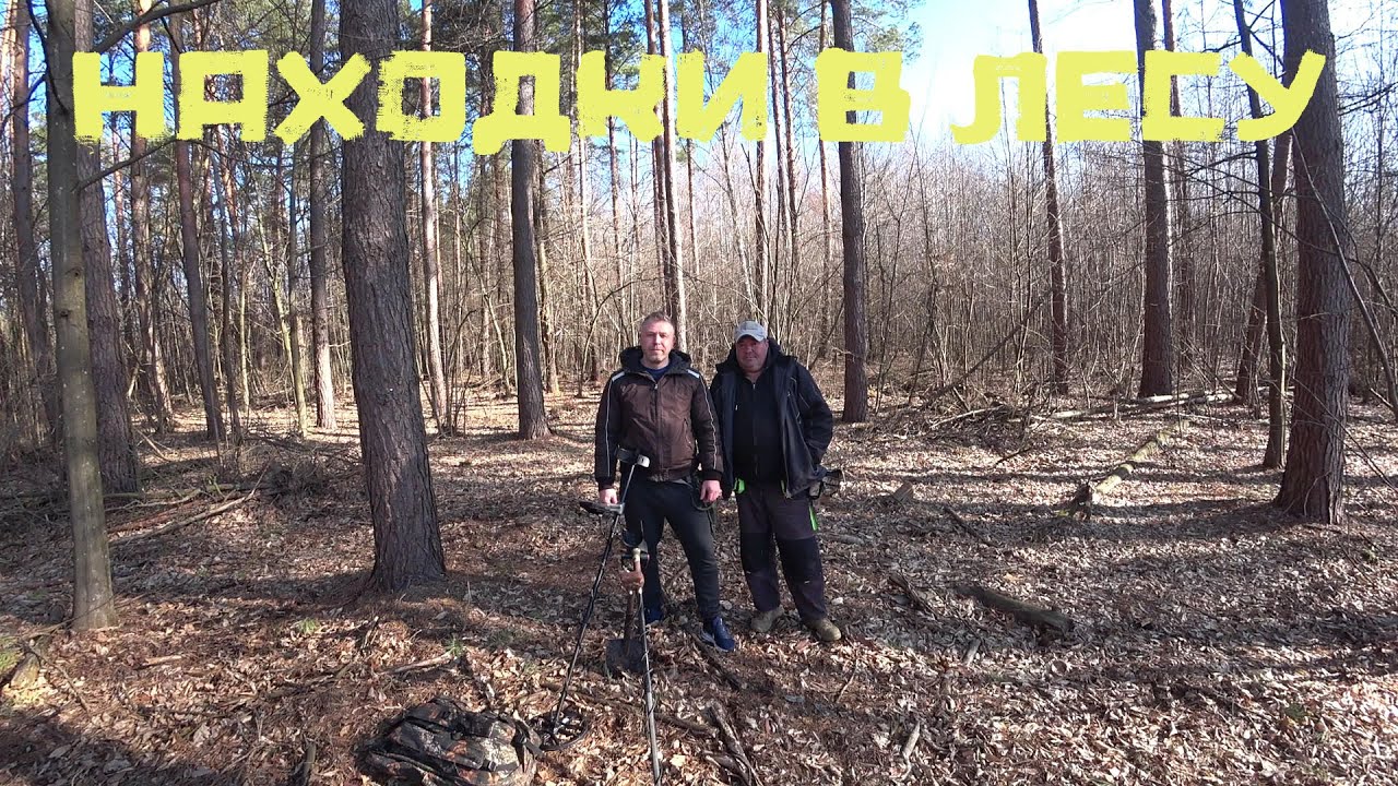 Старые дороги в лесу: Что удалось найти?